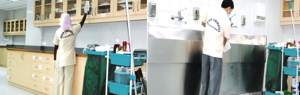 Laboratory Cleaning 